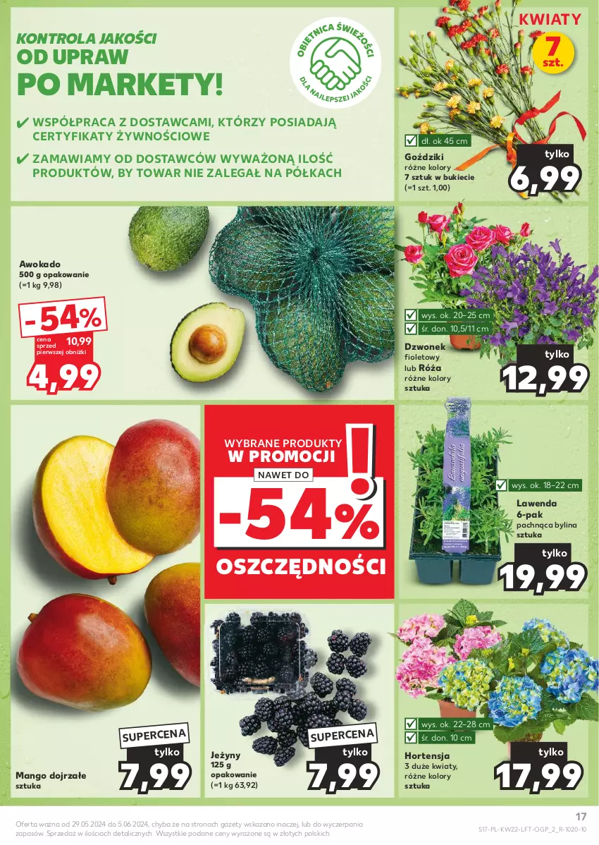 Gazetka promocyjna Kaufland - Gazetka tygodnia - ważna 29.05 do 05.06.2024 - strona 17 - produkty: Dzwonek, Jeżyny, Mango, Półka, Róża