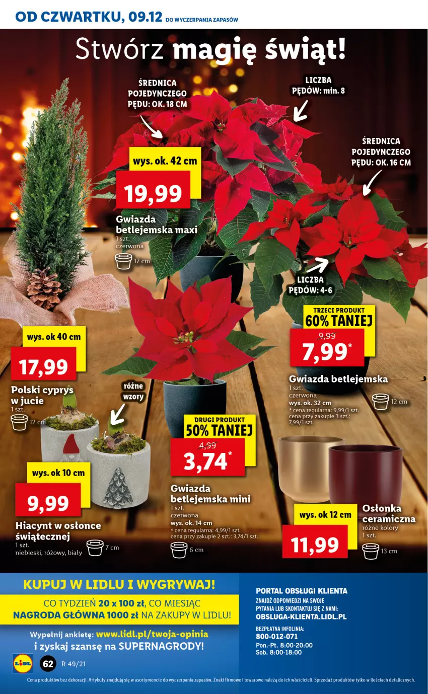 Gazetka promocyjna Lidl - GAZETKA OD 09.12 DO 12.12 - ważna 09.12 do 12.12.2021 - strona 62 - produkty: Gry, Gwiazda, Hiacynt, Osłonka