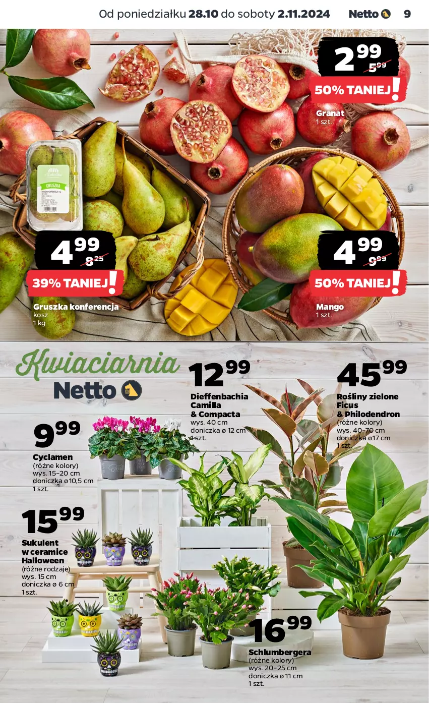 Gazetka promocyjna Netto - Artykuły spożywcze - ważna 28.10 do 02.11.2024 - strona 9 - produkty: Chia, Dron, Gra, Granat, Kosz, Mango, NBA, Sukulent