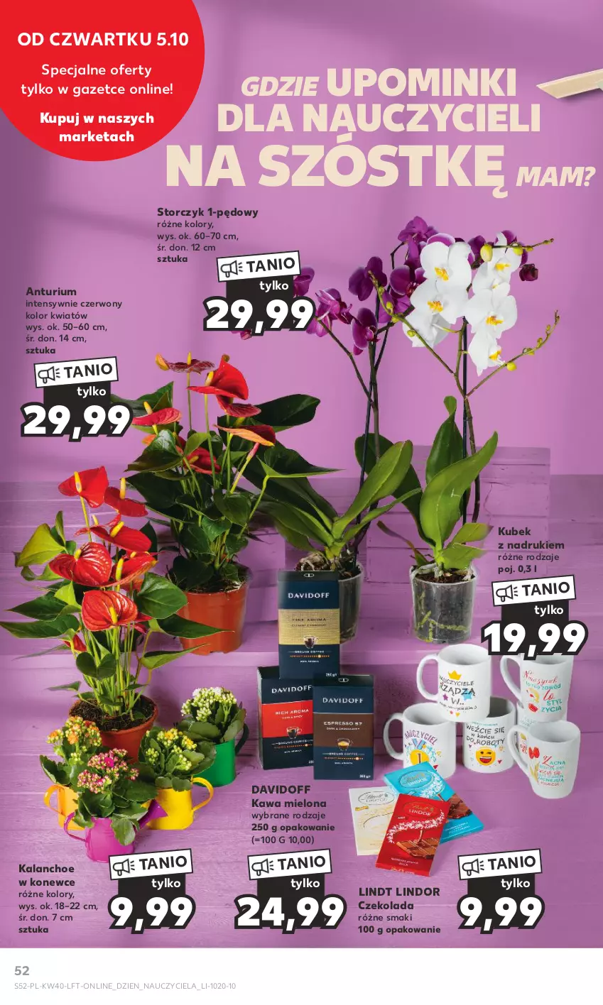 Gazetka promocyjna Kaufland - Gazetka tygodnia - ważna 05.10 do 11.10.2023 - strona 52 - produkty: Czekolada, Davidoff, Kalanchoe, Kawa, Kawa mielona, Kubek, Lindor, Lindt, Storczyk