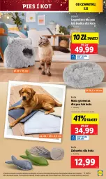 Gazetka promocyjna Lidl - GAZETKA - Gazetka - ważna od 07.12 do 07.12.2024 - strona 53 - produkty: Mata grzewcza, Zabawka, LEGO, Legowisko, Fa