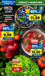 Gazetka promocyjna Lidl - GAZETKA - Gazetka - ważna od 11.06 do 11.06.2025 - strona 14 - produkty: Warzywa, Truskawki, Sałat, Owoce, Nektar