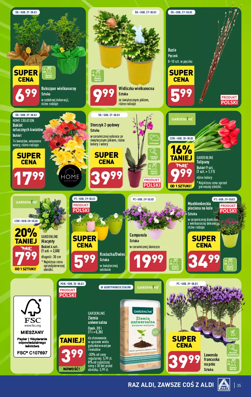 Gazetka promocyjna Aldi - Pełna oferta - ważna 25.03 do 30.03.2024 - strona 35 - produkty: Bukiet, Campanula, Hiacynt, Rzeżucha, Storczyk, Tulipan