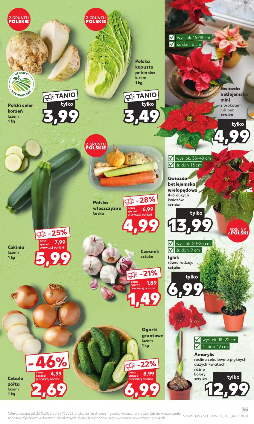 Gazetka promocyjna Kaufland - Gazetka tygodnia - ważna 23.11 do 29.11.2023 - strona 35 - produkty: Amarylis, Cebula, Czosnek, Grunt, Gwiazda, Seler korzeń