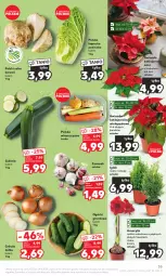 Gazetka promocyjna Kaufland - Gazetka tygodnia - Gazetka - ważna od 29.11 do 29.11.2023 - strona 35 - produkty: Cebula, Seler korzeń, Amarylis, Czosnek, Gwiazda, Grunt