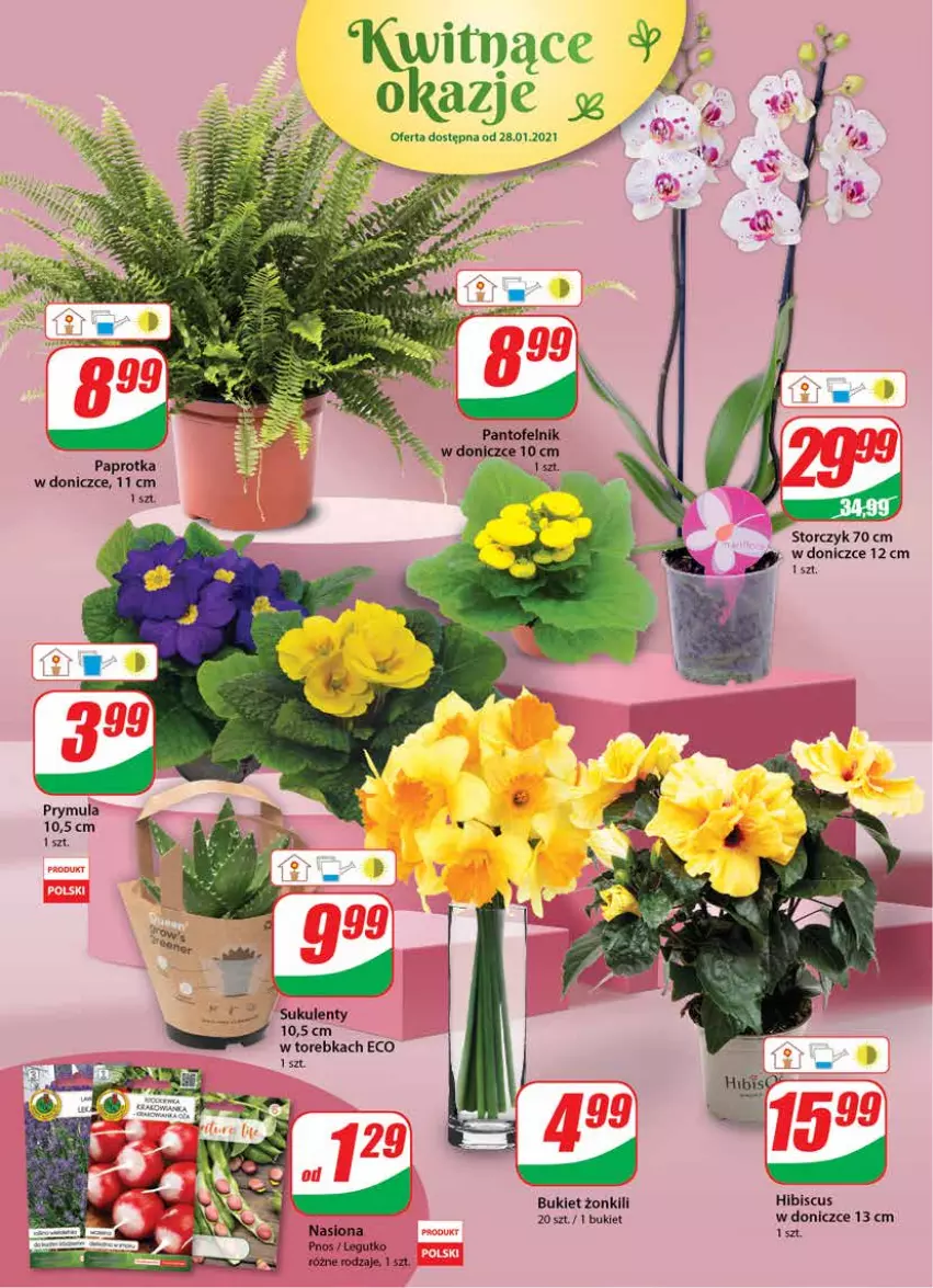 Gazetka promocyjna Dino - Gazetka - ważna 27.01 do 02.02.2021 - strona 16