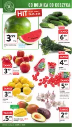 Gazetka promocyjna Intermarche - Gazetka Intermarche - Gazetka - ważna od 05.06 do 05.06.2024 - strona 26 - produkty: Ogórek, Czosnek, Siatka, Avocado, Arbuz, Grunt, Mango, Jabłka