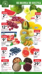 Gazetka promocyjna Intermarche - Gazetka Intermarche - Gazetka - ważna od 07.08 do 07.08.2024 - strona 8 - produkty: Pistacje, Gra, Borówka, Papryka, Mieszanka orzechowa, Arbuz, Wino, Melon