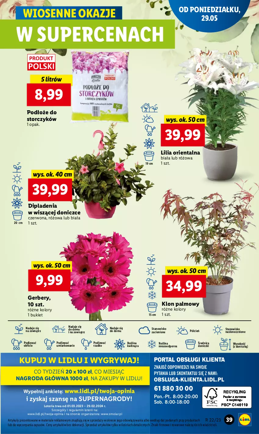 Gazetka promocyjna Lidl - GAZETKA - ważna 29.05 do 31.05.2023 - strona 53 - produkty: Bukiet, Cień, Gerber, Gry, Mola, O nas, Por, Sok, Storczyk