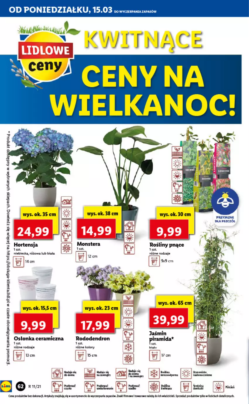 Gazetka promocyjna Lidl - GAZETKA - ważna 15.03 do 17.03.2021 - strona 62 - produkty: Dron, Merci, Osłonka, Róża