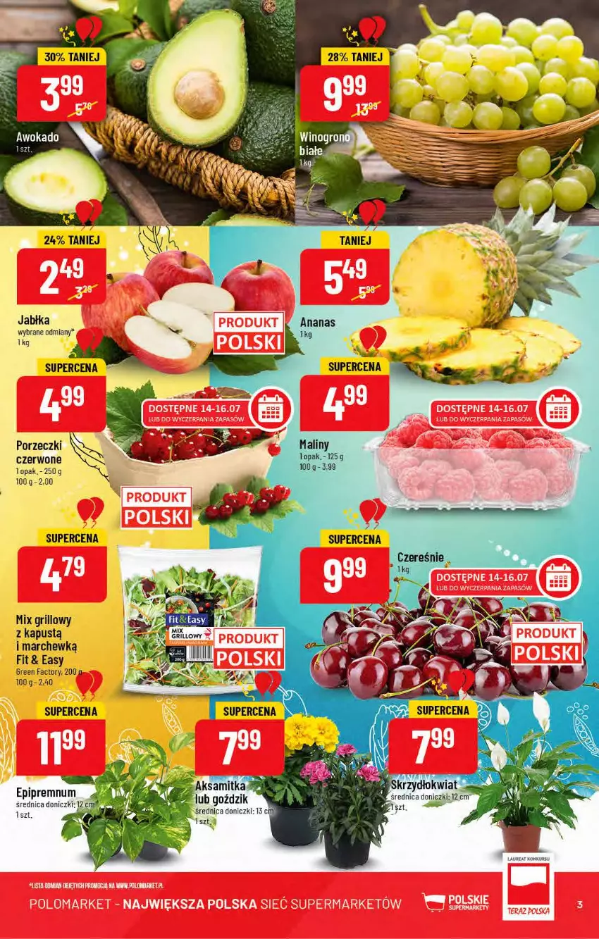 Gazetka promocyjna PoloMarket - Gazetka pomocyjna - ważna 13.07 do 19.07.2022 - strona 3 - produkty: Fa, Grill, Jabłka, Kapustą, Laur, Por, Porzeczki czerwone