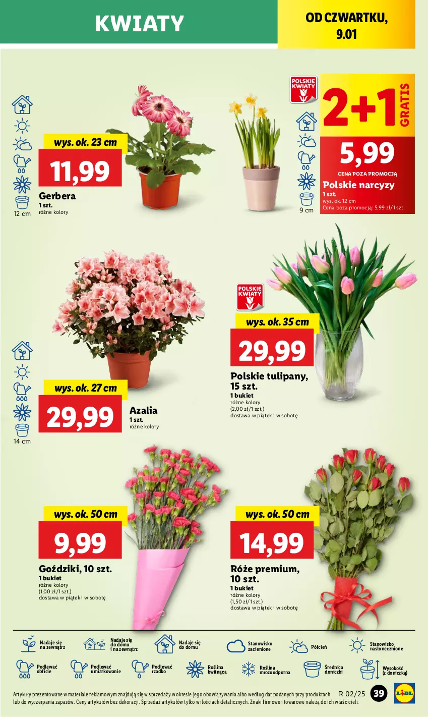 Gazetka promocyjna Lidl - GAZETKA - ważna 09.01 do 11.01.2025 - strona 45 - produkty: Bukiet, Cień, Gerber, Gra, Narcyz, O nas, Por, Sok, Tulipan