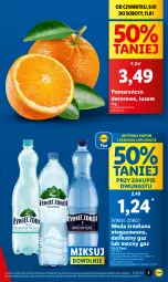 Gazetka promocyjna Lidl - GAZETKA - Gazetka - ważna od 11.01 do 11.01.2025 - strona 5 - produkty: Ser, Pomarańcze, LANA, Deser, Woda