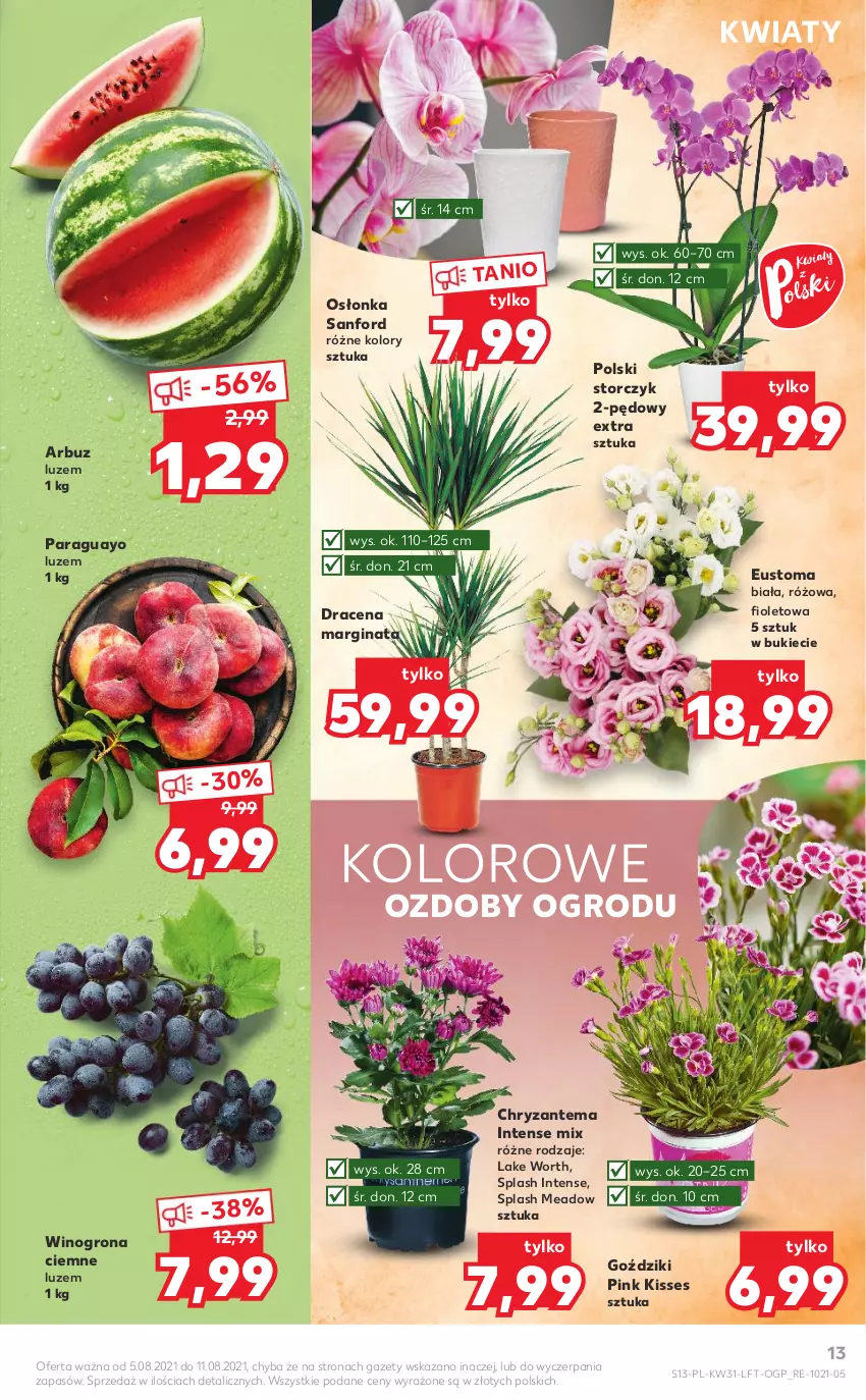 Gazetka promocyjna Kaufland - OFERTA TYGODNIA - ważna 05.08 do 11.08.2021 - strona 13 - produkty: Arbuz, Chryzantema, Gin, Osłonka, Storczyk, Wino, Winogrona