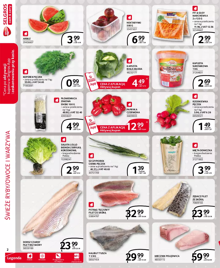 Gazetka promocyjna Selgros - Extra Oferta - ważna 01.05 do 31.05.2021 - strona 2 - produkty: Arbuz, Dorsz, Halibut, Koperek pęczek, LG, Marchewka, Miecz, Miecznik, Mięta, Nektar, Owoce, Papryka, Papryka czerwona, Polędwica, Pstrąg, Pstrąg tęczowy, Rzodkiewka, Sałat, Sok, Tusz, Warzywa