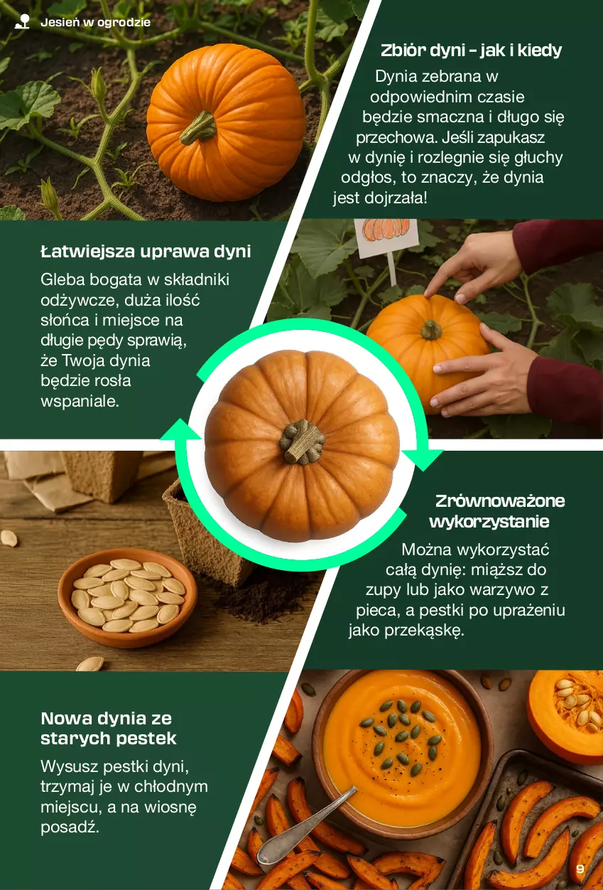 Gazetka promocyjna Lidl - Magazyn PARKSIDE - ważna 31.08 do 11.10.2025 - strona 9 - produkty: Pestki dyni, Piec, Stek