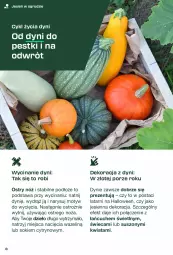 Gazetka promocyjna Lidl - Magazyn PARKSIDE - Gazetka - ważna od 11.10 do 11.10.2025 - strona 8 - produkty: Sok, Por, Noż