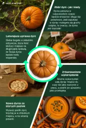 Gazetka promocyjna Lidl - Magazyn PARKSIDE - Gazetka - ważna od 11.10 do 11.10.2025 - strona 9 - produkty: Piec, Stek, Pestki dyni