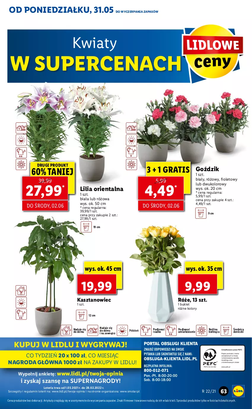 Gazetka promocyjna Lidl - GAZETKA - ważna 31.05 do 02.06.2021 - strona 63 - produkty: Bukiet, Cień, Gra, Gry, Mola