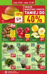 Gazetka promocyjna Aldi - Pełna oferta - Gazetka - ważna od 11.10 do 11.10.2025 - strona 32 - produkty: Warzywa, Gra, Granat, Warzywa i owoce, Ananas, Kosz, Ziemniaki, Tera, Dron, Owoce, Mango, Melon, Fa