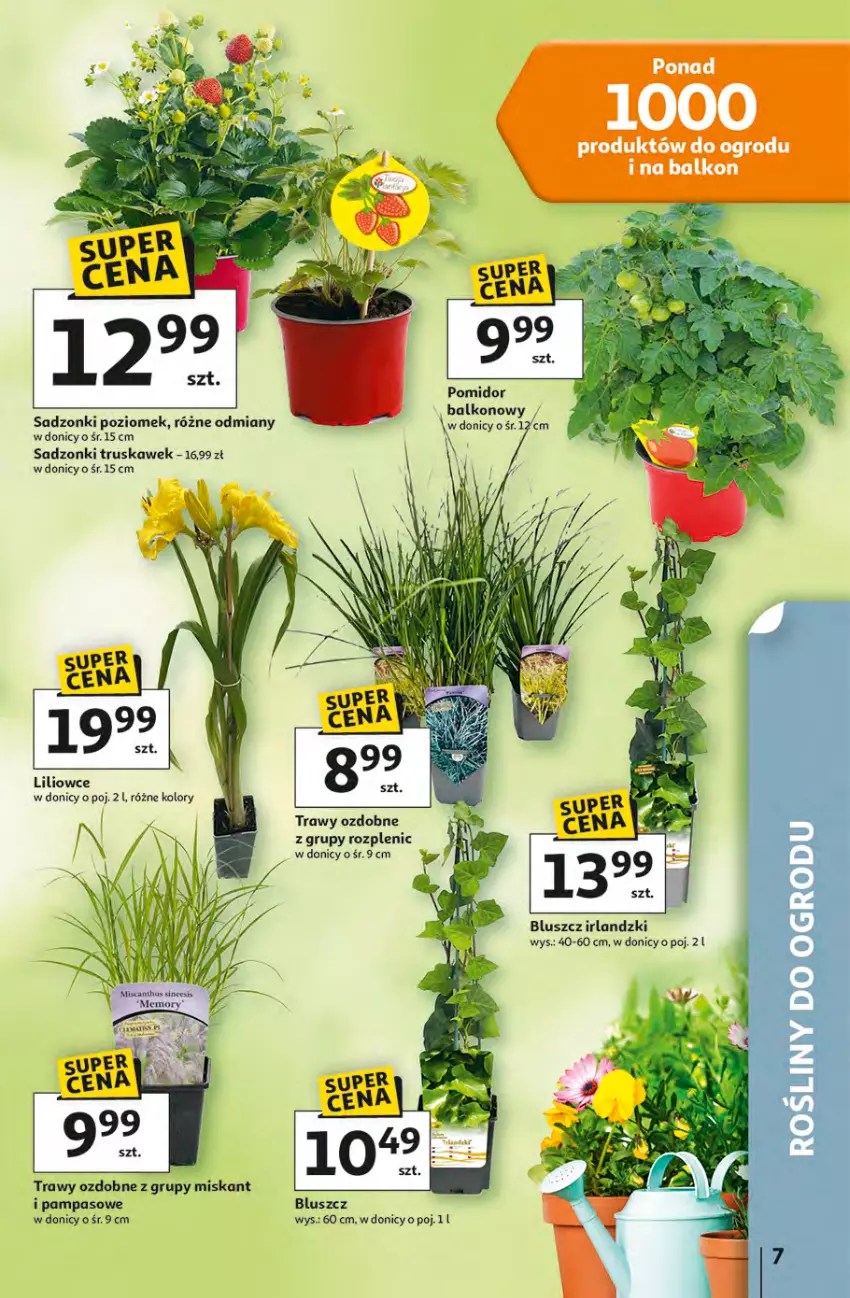 Gazetka promocyjna Auchan - Gazetka 30 Lat Hipermarket Auchan - ważna 16.04 do 22.04.2026 - strona 7 - produkty: Miska