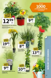 Gazetka promocyjna Auchan - Gazetka 30 Lat Hipermarket Auchan - Gazetka - ważna od 22.04 do 22.04.2026 - strona 7 - produkty: Miska