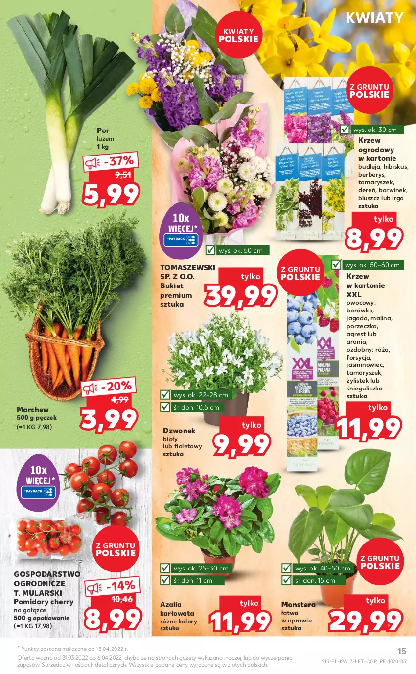 Gazetka promocyjna Kaufland - OFERTA TYGODNIA - ważna 31.03 do 06.04.2022 - strona 15 - produkty: Aronia, Borówka, Bukiet, Dereń, Dzwonek, Gres, Grunt, Hibiskus, Pomidory, Por, Róża, Stek, Tera