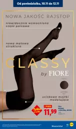 Gazetka promocyjna Lidl - GAZETKA - Gazetka - ważna od 12.11 do 12.11.2025 - strona 65 - produkty: Top, Rajstopy