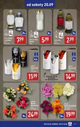 Gazetka promocyjna Aldi - Artykuły przemysłowe i tekstylia - Gazetka - ważna od 20.09 do 20.09.2025 - strona 11 - produkty: Bukiet, Znicz
