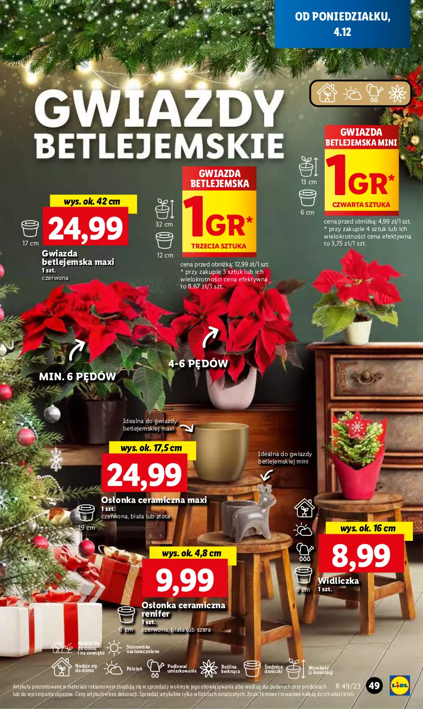 Gazetka promocyjna Lidl - GAZETKA - ważna 04.12 do 06.12.2023 - strona 57 - produkty: Cień, Gwiazda, O nas, Osłonka, Renifer, Sok