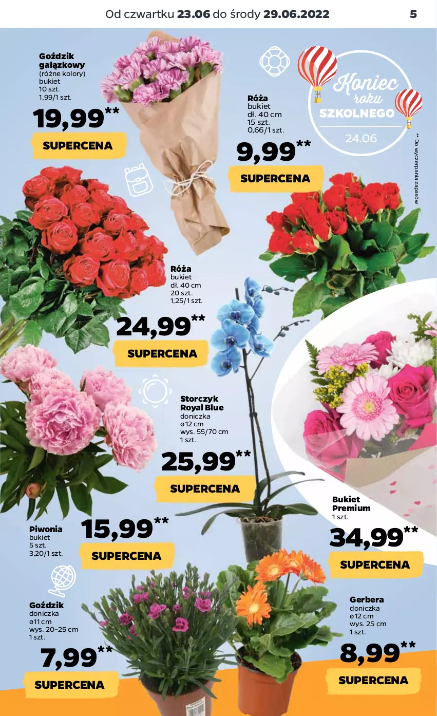 Gazetka promocyjna Netto - Gazetka spożywcza 23.06-29.06 - ważna 23.06 do 29.06.2022 - strona 5 - produkty: Bukiet, Gerber, Piwo, Róża, Storczyk