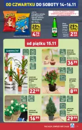 Gazetka promocyjna Aldi - Pełna oferta - Gazetka - ważna od 16.11 do 16.11.2024 - strona 29 - produkty: Piwa, Piwo, Ketchup, Cheetos, Sok, Ser, Gra, Amarylis, Chrupki