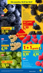 Gazetka promocyjna Lidl - Gazetka ważna od 16.07 do 18.07 - Gazetka - ważna od 18.07 do 18.07.2026 - strona 45 - produkty: Por, Gra, Jeżyny, Maliny, Gres