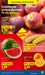 Gazetka promocyjna Lidl - Gazetka ważna od 16.07 do 18.07 - Gazetka - ważna od 18.07 do 18.07.2026 - strona 47 - produkty: Ser, Pomarańcze, Deser, Arbuz, Nektar, Kukurydza