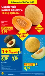 Gazetka promocyjna Lidl - Gazetka ważna od 16.07 do 18.07 - Gazetka - ważna od 18.07 do 18.07.2026 - strona 48 - produkty: Gra, Melon