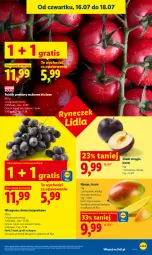 Gazetka promocyjna Lidl - Gazetka ważna od 16.07 do 18.07 - Gazetka - ważna od 18.07 do 18.07.2026 - strona 49 - produkty: Gra, Winogrona, Wino, Mango, Pomidory