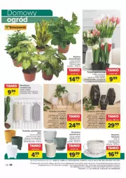 Gazetka promocyjna Carrefour - Gazetka - ważna od 28.01 do 28.01.2024 - strona 19 - produkty: Top, Mus, Tulipan, Miętus, Filiżanka, Bukiet, Osłonka