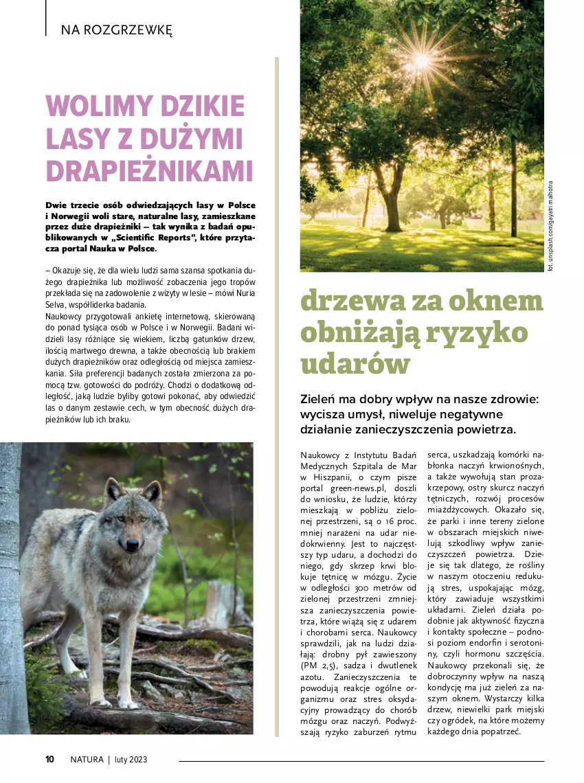 Gazetka promocyjna Drogerie Natura - Gazetka Drogerie Natura - ważna 01.02 do 28.02.2023 - strona 10 - produkty: Gra, Ogród, Piec, Por, Portal, Ser, Sok, Top, Zdrowie