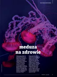 Gazetka promocyjna Drogerie Natura - Gazetka Drogerie Natura - Gazetka - ważna od 28.02 do 28.02.2023 - strona 7 - produkty: Makaron, Sos, Ryż, Por, Pur, Mus, Kolagen, Zdrowie, Tera, Sanki, Lody, Sezam, Narty, Olej