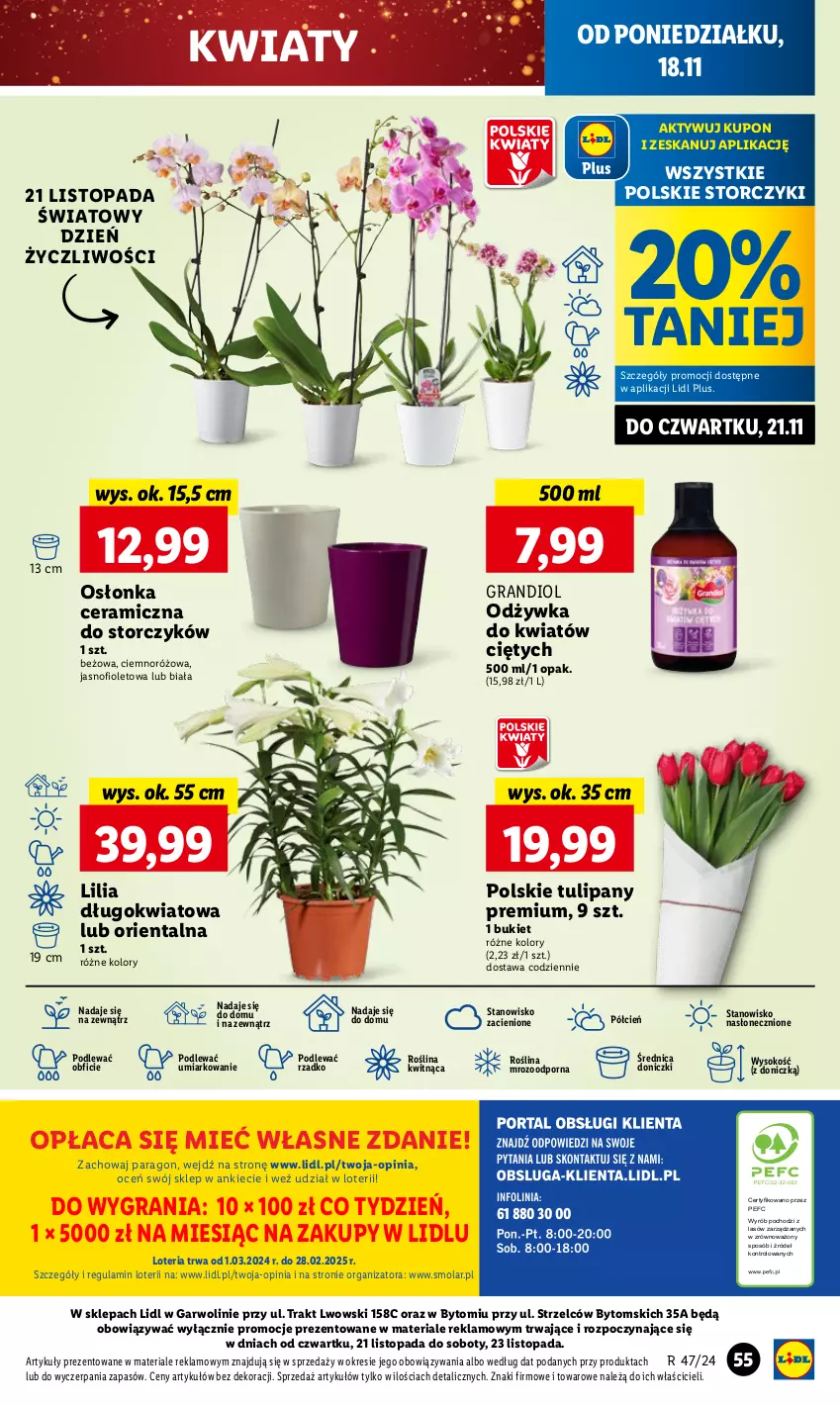 Gazetka promocyjna Lidl - GAZETKA - ważna 18.11 do 20.11.2024 - strona 63 - produkty: Bukiet, Cień, Gra, Mola, O nas, Odżywka, Osłonka, Por, Sok, Storczyk, Top, Tulipan