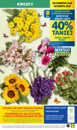 Gazetka promocyjna Lidl - GAZETKA - Gazetka - ważna od 26.07 do 26.07.2025 - strona 57 - produkty: Por, Gra, Kwiaty cięte, Portal, Laur, Mola, Bukiet
