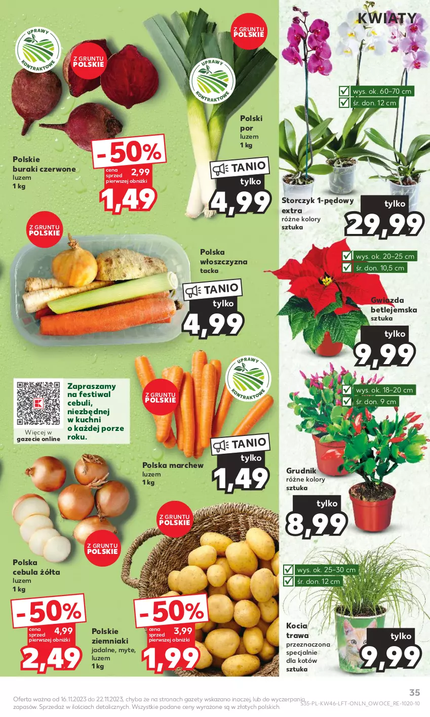 Gazetka promocyjna Kaufland - Gazetka tygodnia - ważna 16.11 do 22.11.2023 - strona 35 - produkty: Buraki, Cebula, Grunt, Gwiazda, Koc, Kocia trawa, Owoce, Por, Storczyk, Ziemniaki