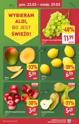 Gazetka promocyjna Aldi - Pełna oferta - Gazetka - ważna od 29.03 do 29.03.2026 - strona 3 - produkty: Cytryny, Szampion, Gruszki, Winogrona, Wino, Mango, Jabłka