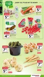 Gazetka promocyjna Intermarche - Gazetka Intermarche - Gazetka - ważna od 15.01 do 15.01.2025 - strona 13 - produkty: Cebula, Pietruszka, Ogórek, Czosnek