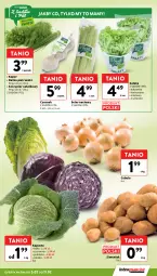 Gazetka promocyjna Intermarche - Gazetka Intermarche - Gazetka - ważna od 11.02 do 11.02.2026 - strona 11 - produkty: Cebula, Czosnek, Sałat, Seler naciowy, Natka pietruszki, Masło