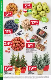 Gazetka promocyjna Stokrotka - Supermarket Opole/Radom - Gazetka - ważna od 18.12 do 18.12.2024 - strona 8 - produkty: Gruszki, Liczi, Jabłka, Imbir, HP