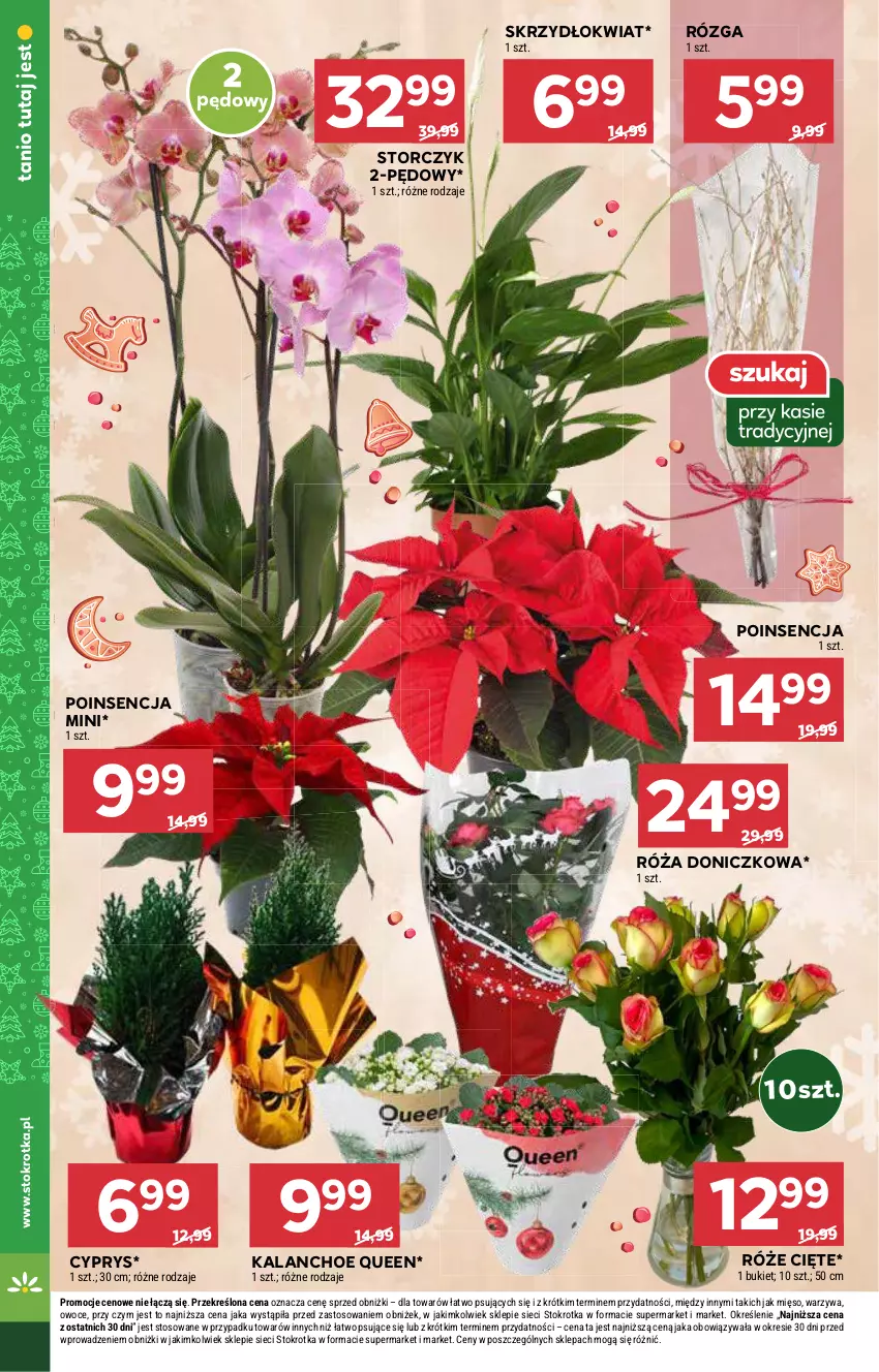 Gazetka promocyjna Stokrotka - Supermarket Opole/Radom - ważna 05.12 do 11.12.2024 - strona 10 - produkty: Bukiet, Kalanchoe, Mięso, Owoce, Róża, Storczyk, Warzywa