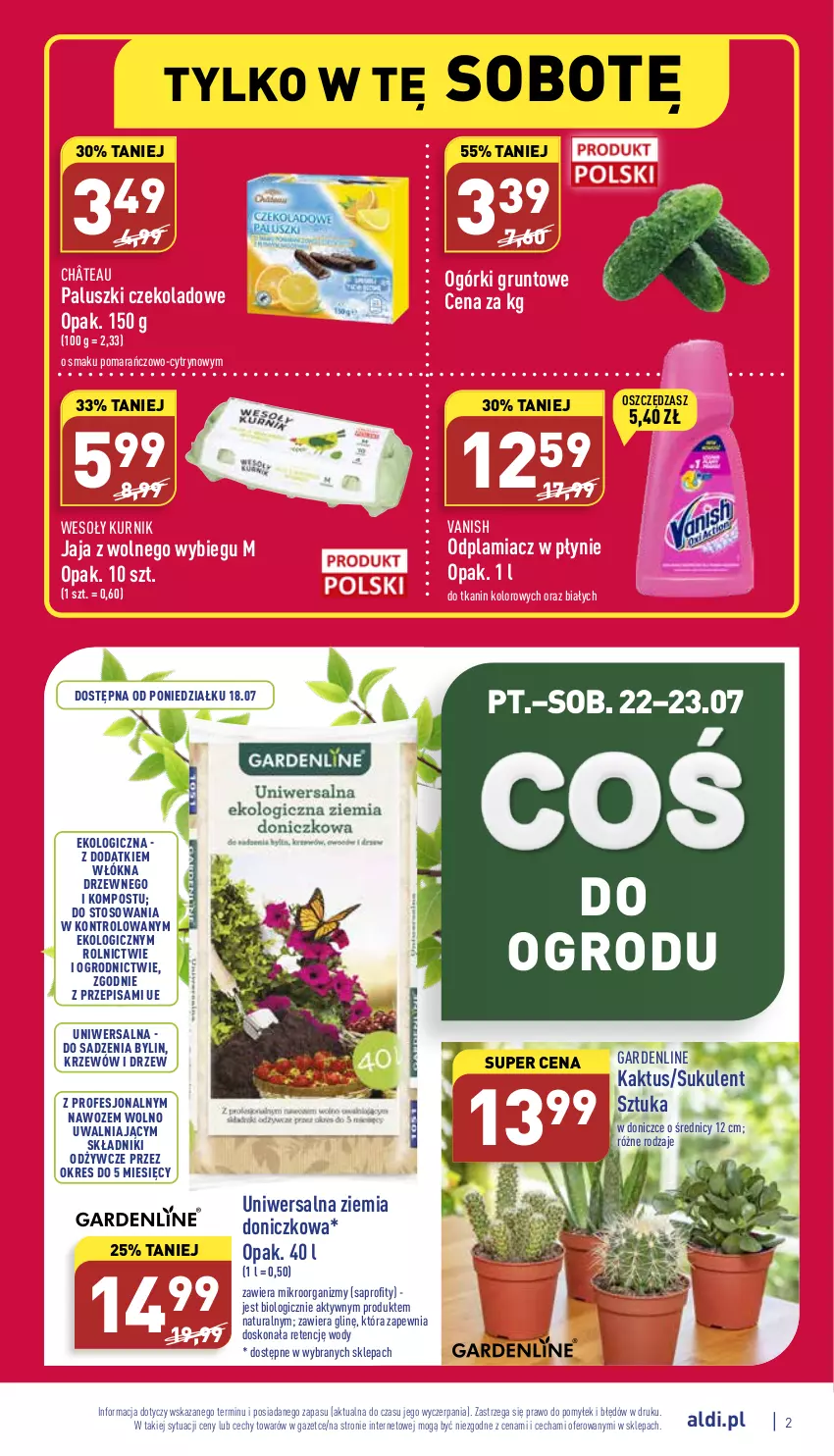 Gazetka promocyjna Aldi - Zaplanuj zakupy z wyprzedzeniem - ważna 18.07 do 30.07.2022 - strona 2 - produkty: Grunt, Jaja, Jaja z wolnego wybiegu, Kaktus, Odplamiacz, Sukulent, Vanish