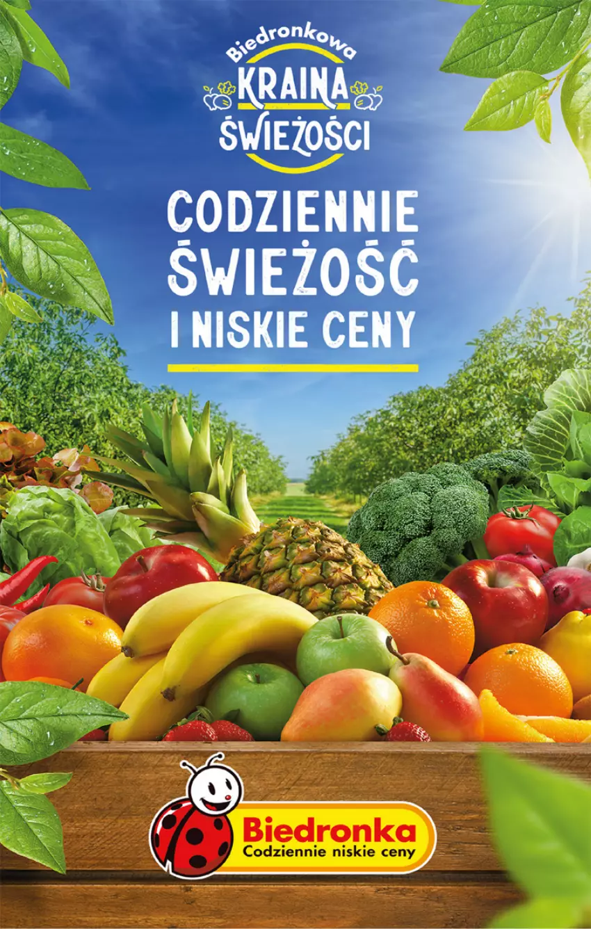 Gazetka promocyjna Biedronka - Od poniedzialku - ważna 15.01 do 20.01.2024 - strona 24