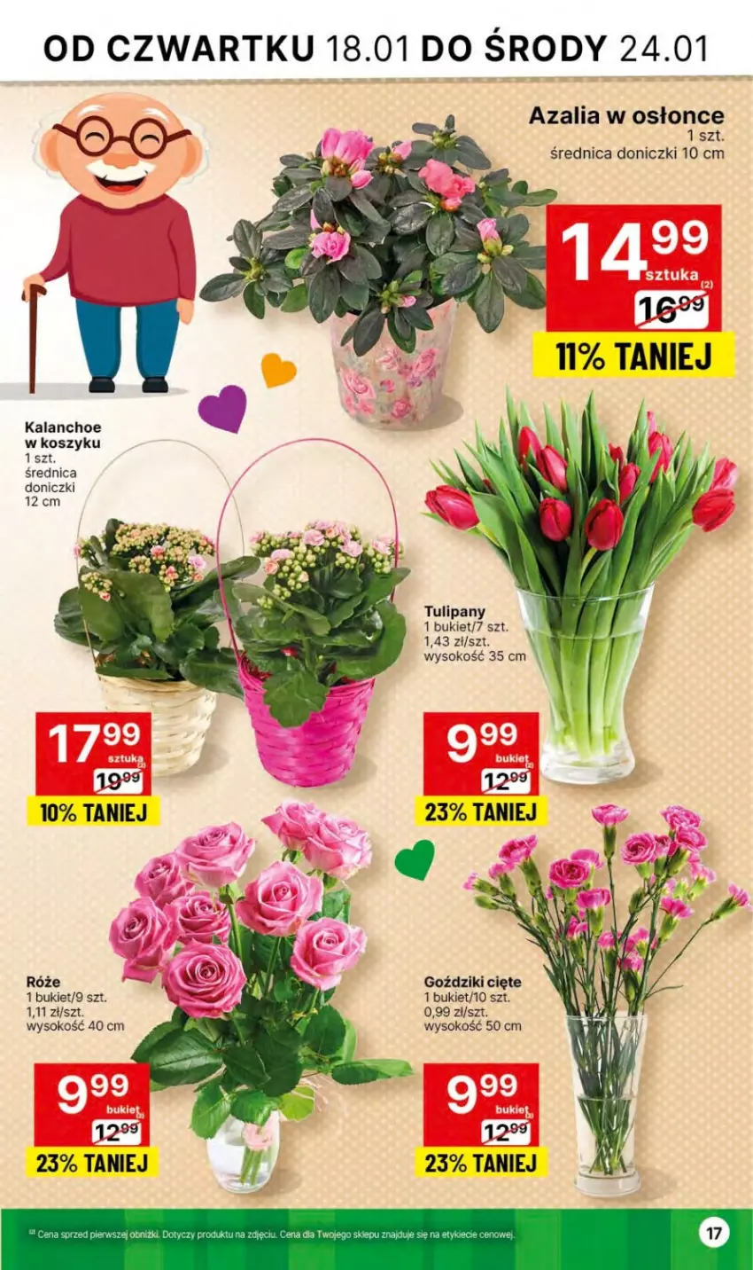 Gazetka promocyjna Delikatesy Centrum - Dyskontowe ceny w Delikatesach Centrum - ważna 18.01 do 24.01.2024 - strona 17 - produkty: Bukiet, Kalanchoe, Kosz, Sok, Tulipan